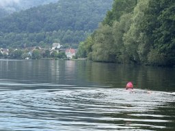 Mainschwimmen Juni 2026